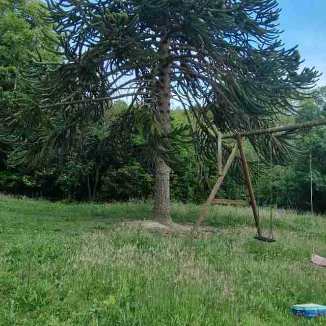 VideoCapture_20221006-155354
